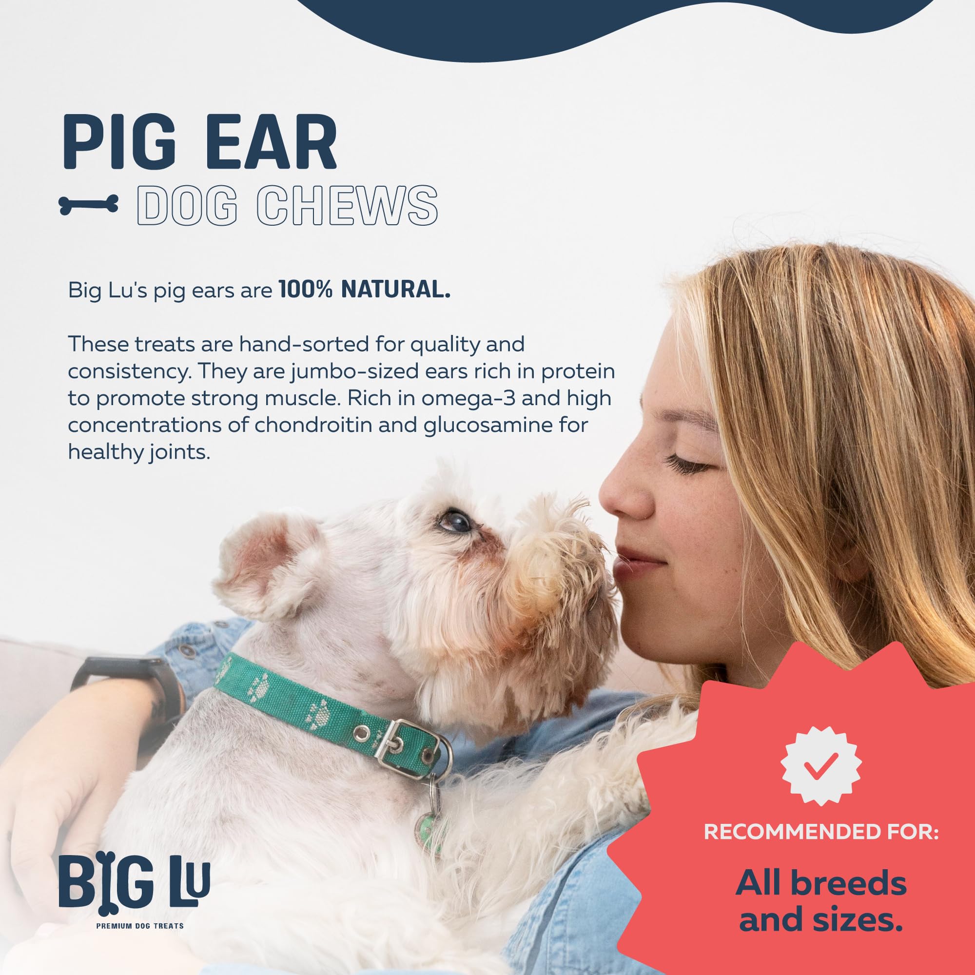 Big Lu all-natural single-ingredient pork product image emphasizes simple ingredients for sensitive stomachs.