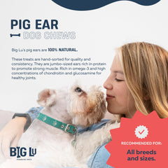 Big Lu all-natural single-ingredient pork product image emphasizes simple ingredients for sensitive stomachs.