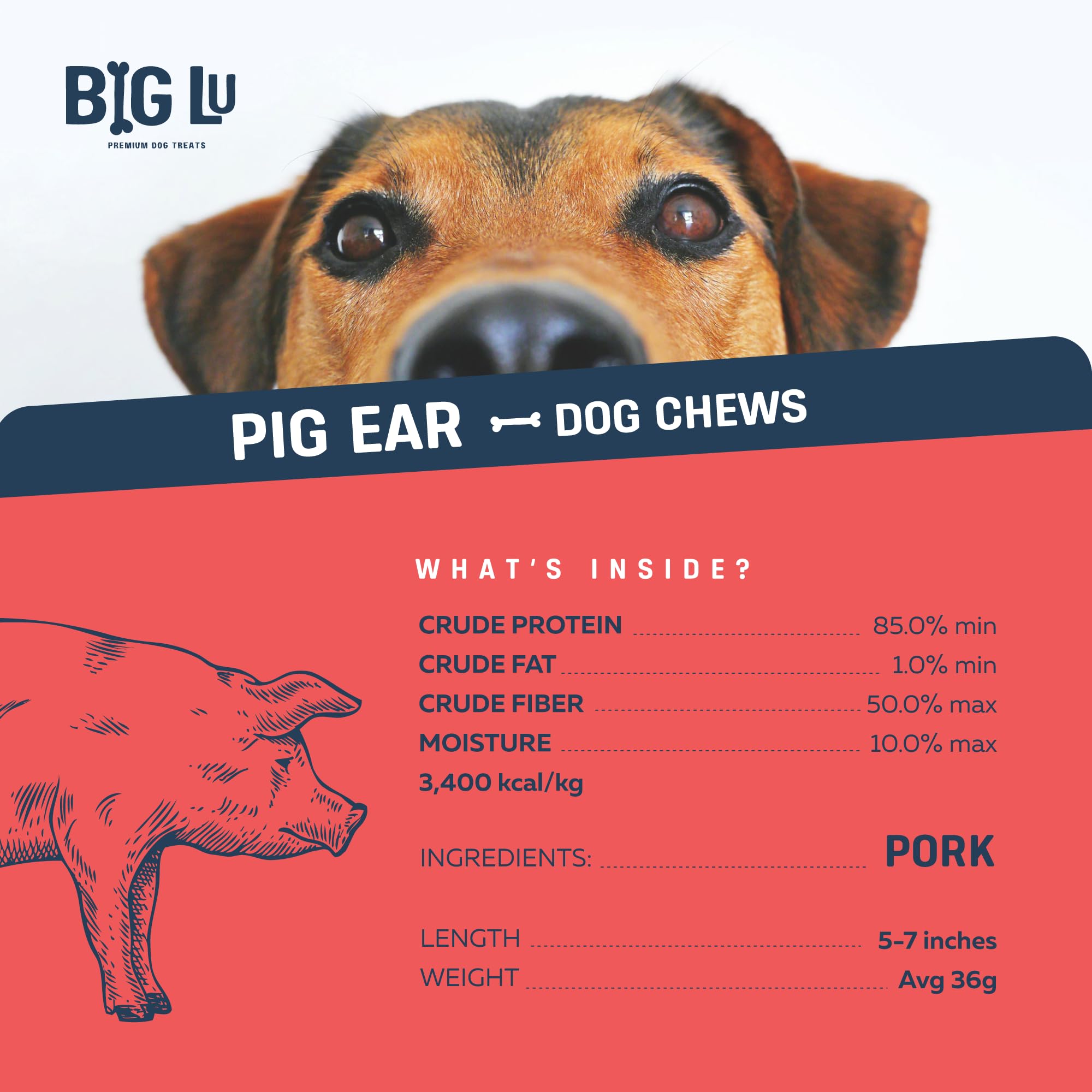 Big Lu easily-digestible pig ears image shows gentle chew suitable for dogs with stomach sensitivities.