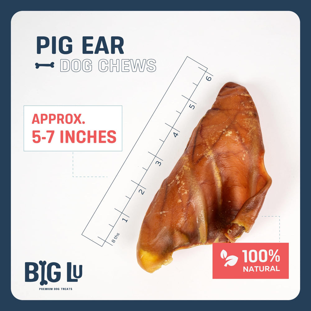 Big Lu long-lasting dog chew photo captures a satisfying, extended play session.