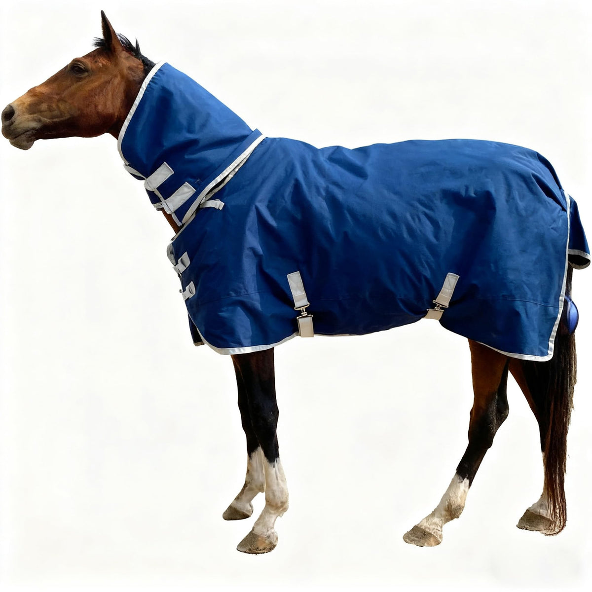 BIGANTTOW 1200D horse blanket left view shows rugged turnout durability