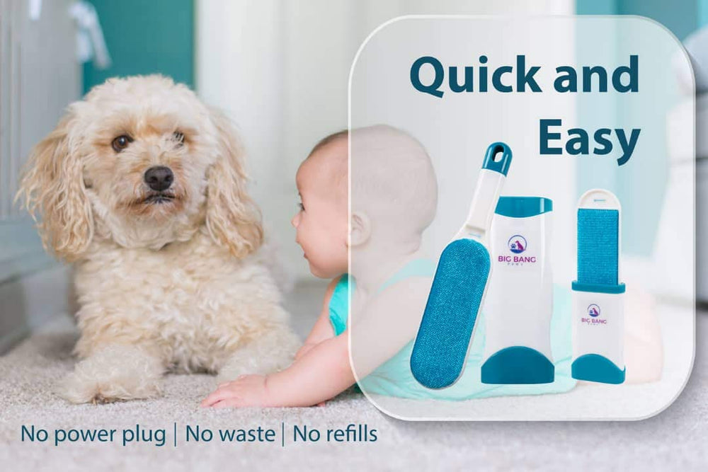 Big Bang Paws lifetime guarantee demonstrates hustle-free replacement policy.