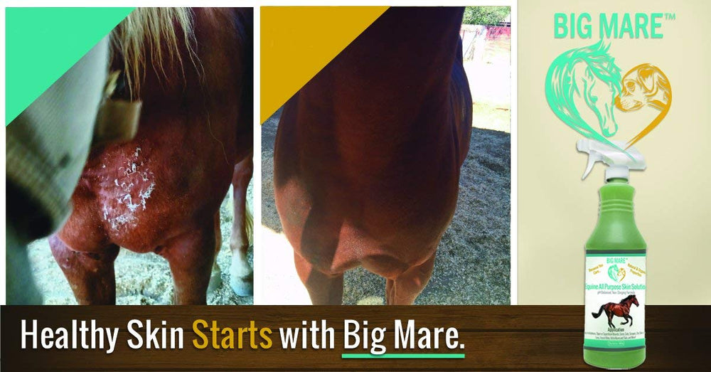 Big Mare equestrian girth itch care ready-to-use solution.