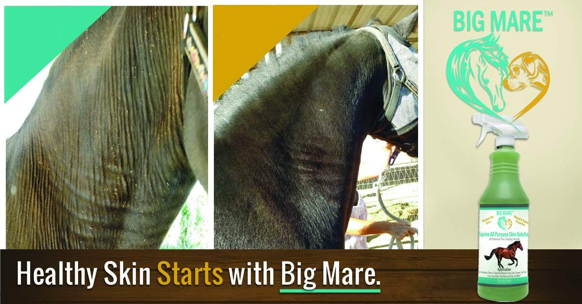 Big Mare skin wound care spray application showing easy, non-sting use.
