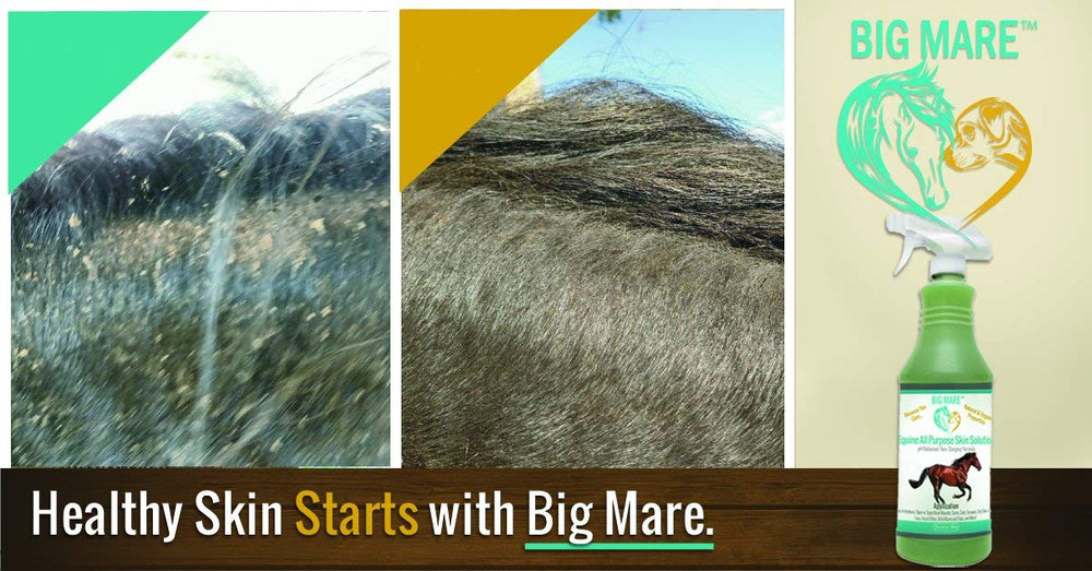 Big Mare vet-approved label closeup highlighting professional endorsement for horse care.