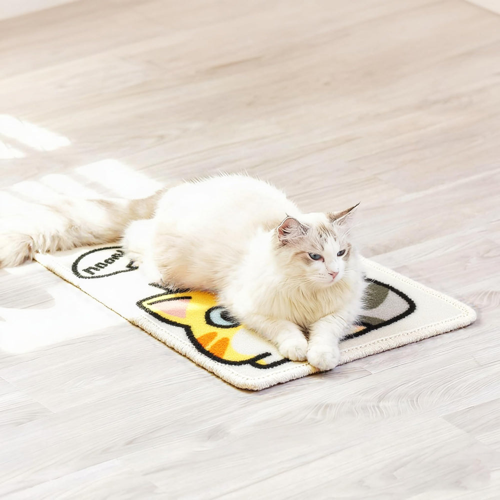 Bigpomelos easy-clean design allows quick wipe or rinse.