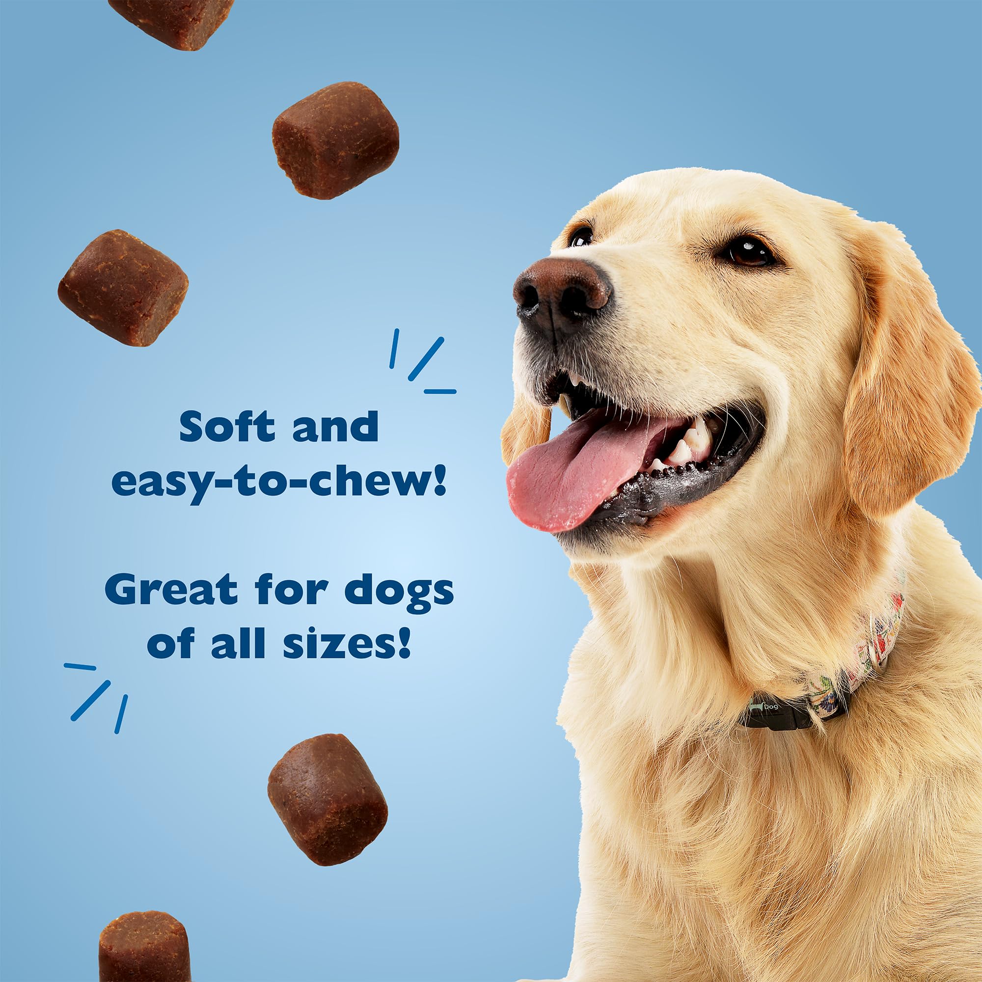 Bil-Jac treats support positive training sessions with tasty rewards