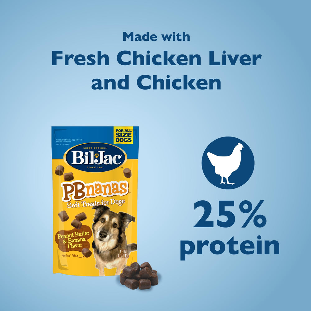 Dog enjoying Bil-Jac PB-Nanas with real chicken liver flavor.