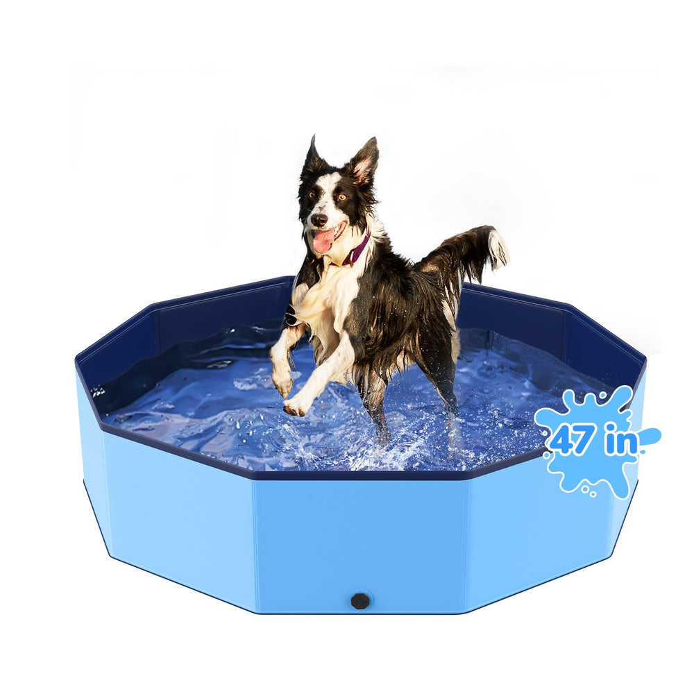 Bilibara 47-inch foldable dog pool setup for quick cooling and play sessions.