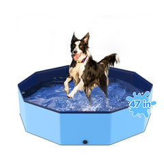 Bilibara 47-inch foldable dog pool setup for quick cooling and play sessions.