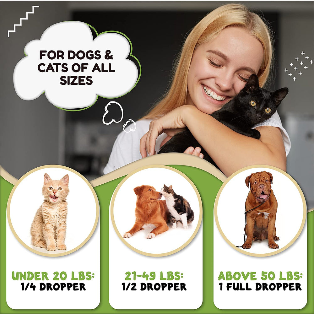 Billion Pets hemp oil helps dogs relax during car rides