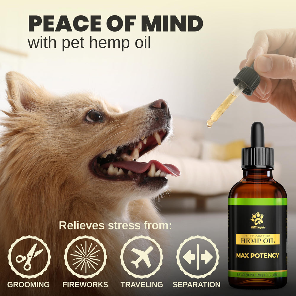 Billion Pets hemp oil bottle on table for easy dosing