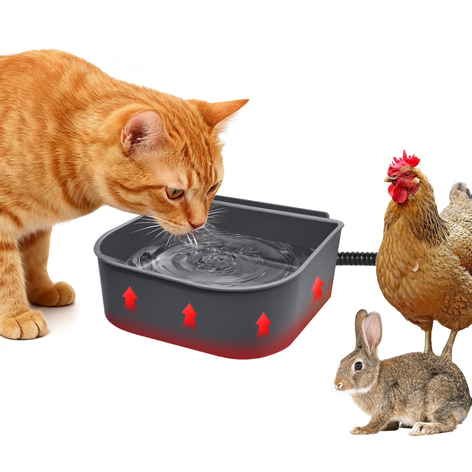 Billionchains dog heated water bowl crate mount keeps pets hydrated in winter.