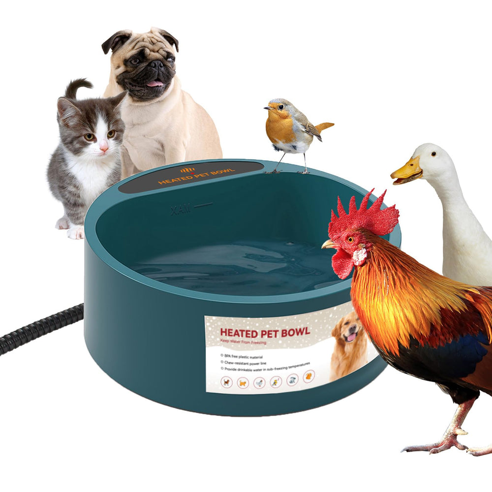 Billionchains dog heated water bowl outdoor setup keeps water unfrozen in cold weather