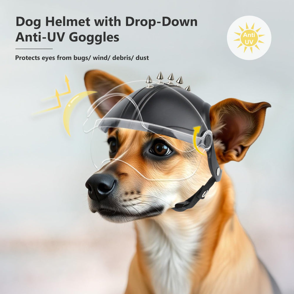 Billionchains dog helmet adjustable strap for easy on-and-off and snug security.