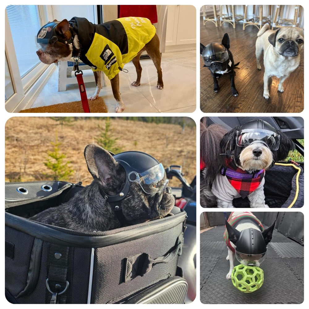 Billionchains dog helmet drop-down visor close-up shows UV protection.