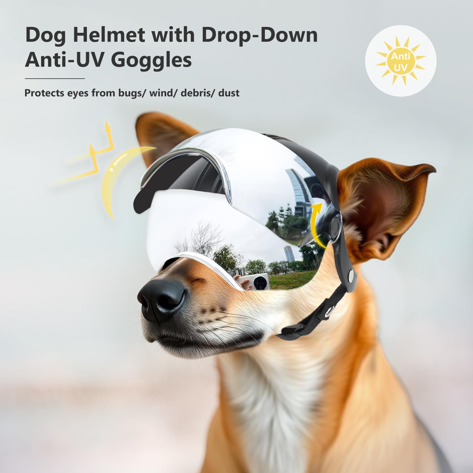 Billionchains dog helmet ear holes enable easy wearing.