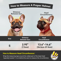 Billionchains dog helmet inner padding keeps comfort during rides.