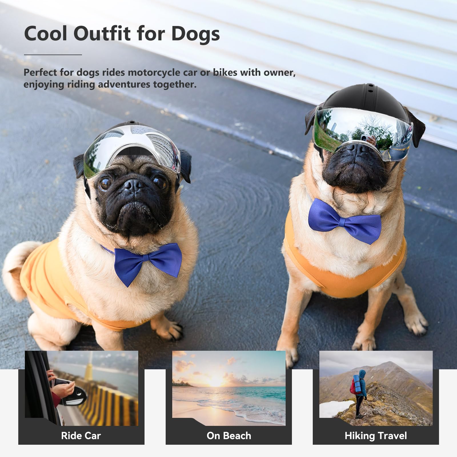 Billionchains dog helmet on-dog ride demonstrates secure fit.