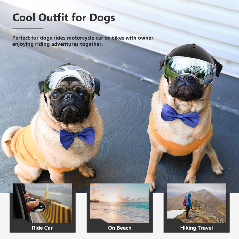 Billionchains dog helmet on-dog ride demonstrates secure fit.