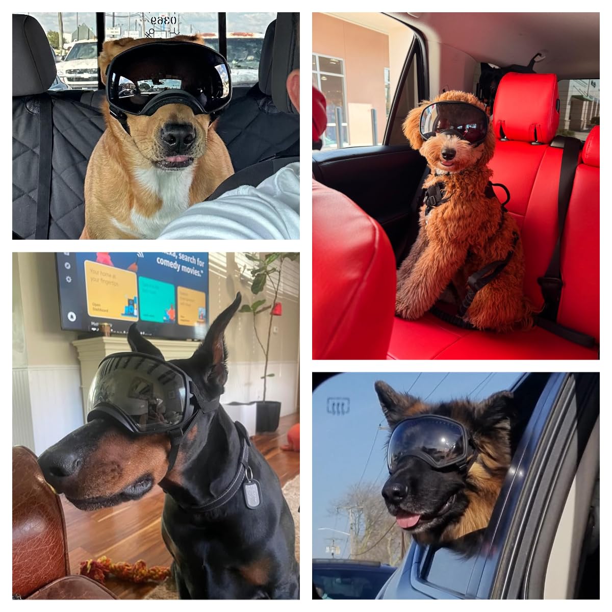 Billionchains dog sunglasses curved lenses offer a wide, clear field of view.