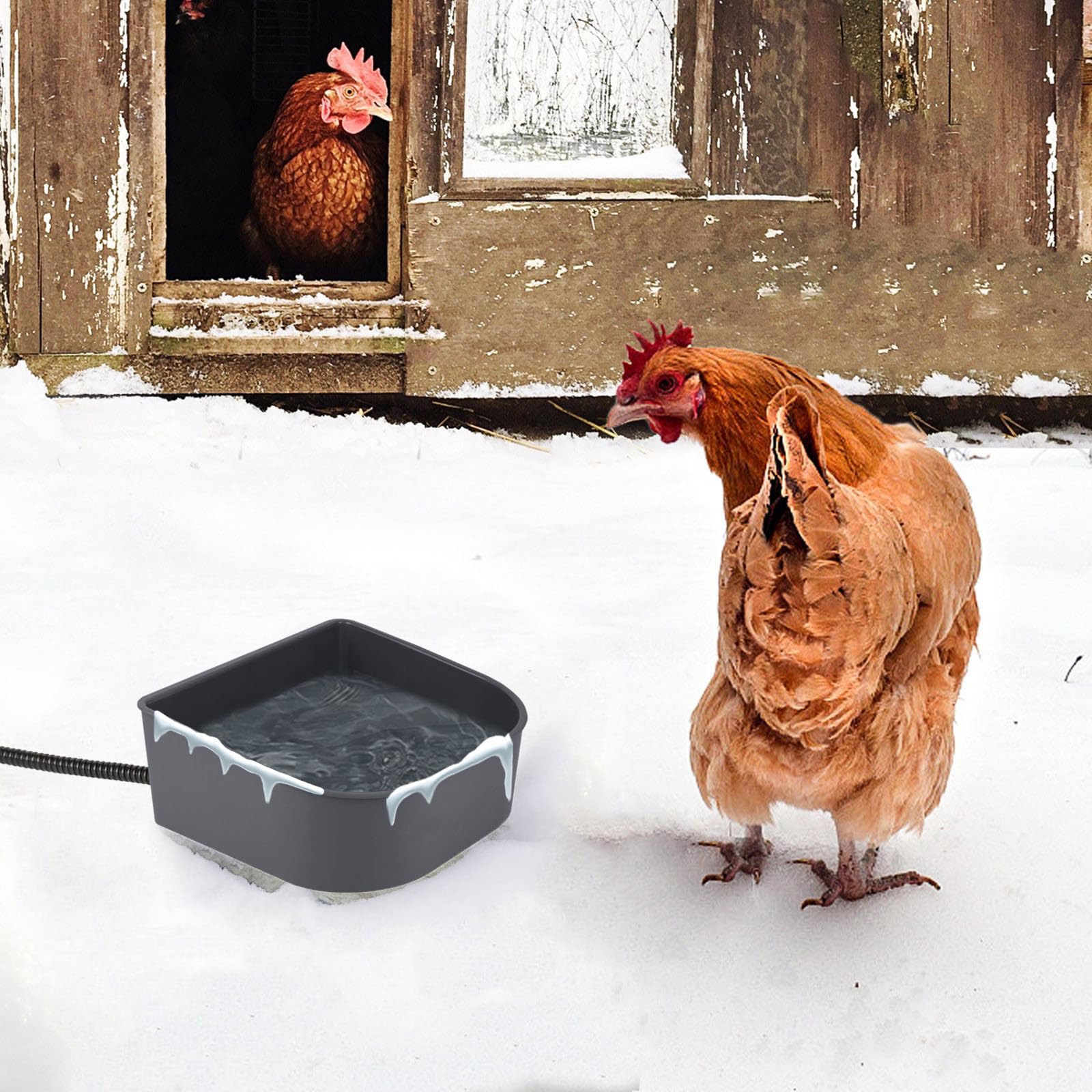 Billionchains heated water dish offers hanging or crate mounting for flexible setup.