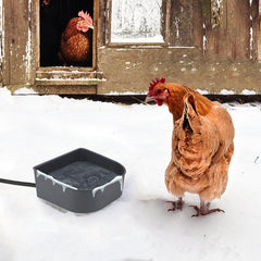 Billionchains heated water dish offers hanging or crate mounting for flexible setup.