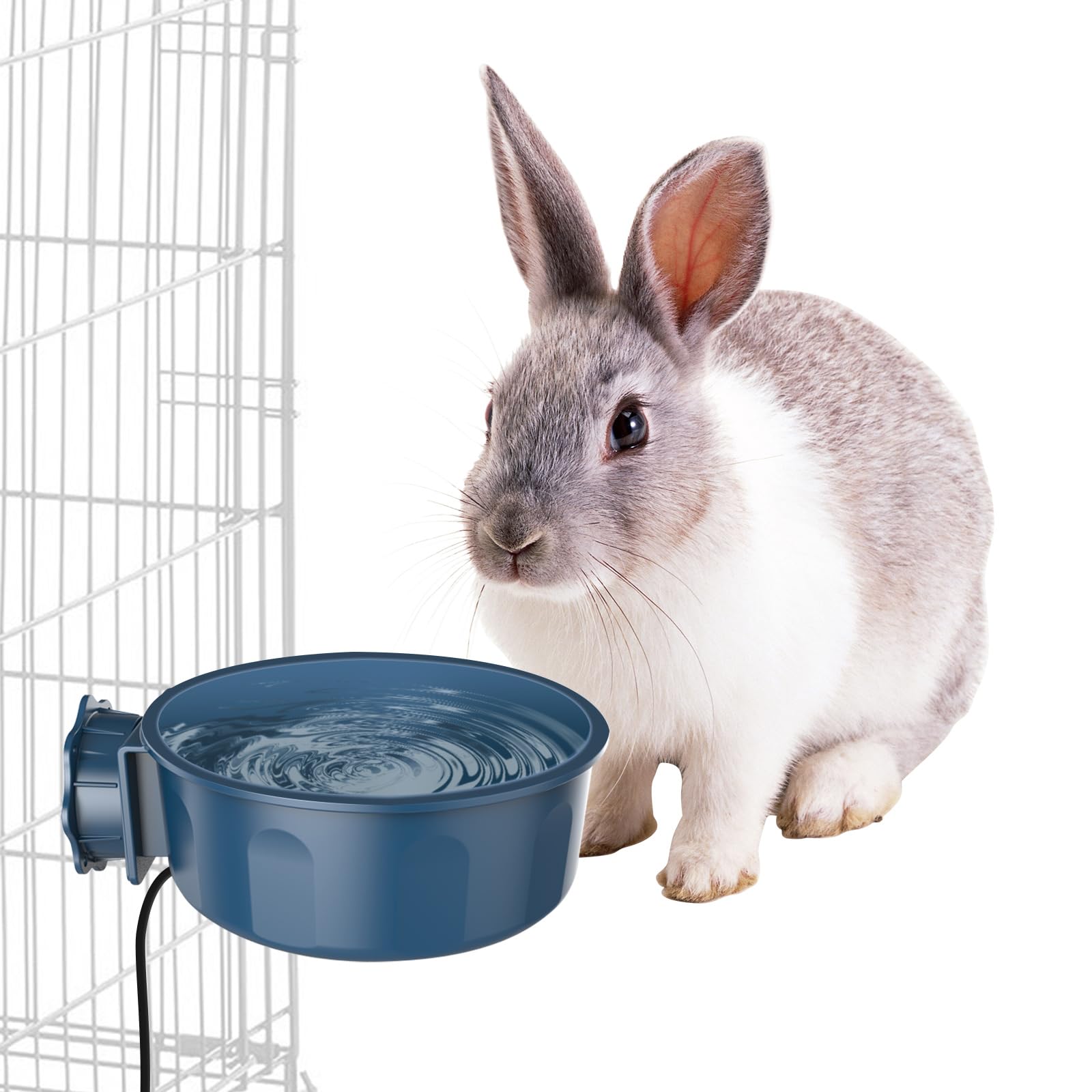 Billionchains indoor heated water bowl water image highlighting hydration in cold rooms.