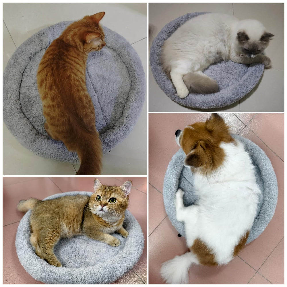 Billionchains round cat bed protects furniture by offering a dedicated comfy retreat.