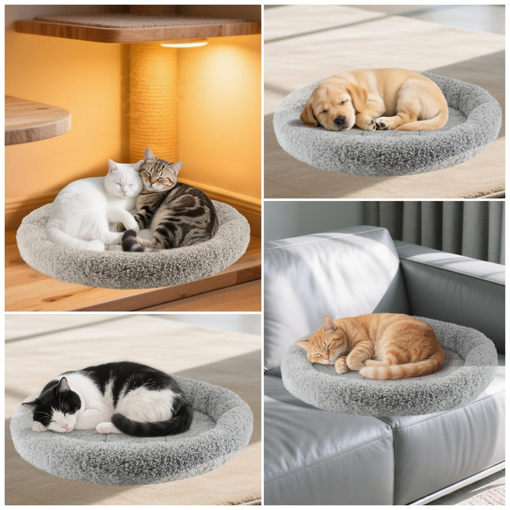 Billionchains round cat bed outer 19-5 diameter shows spacious donut design for lounging.