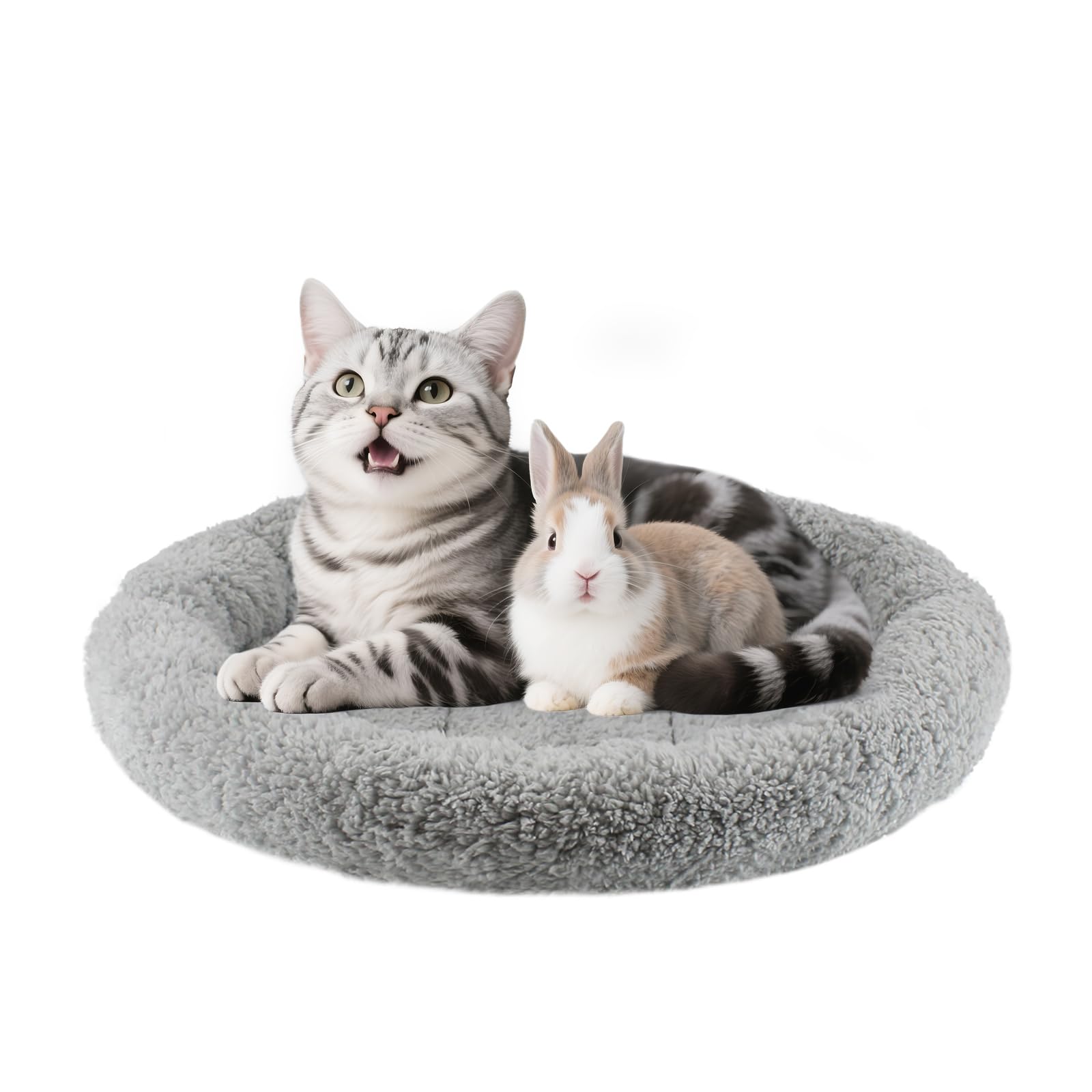 Billionchains round cat bed plush interior delivers cozy warmth for resting cats.