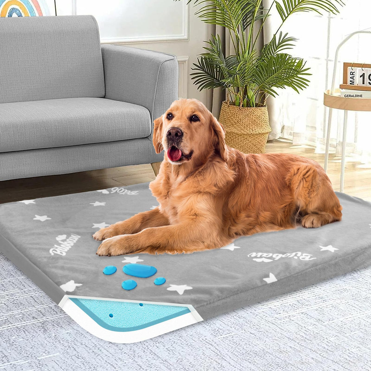 Biloban waterproof dog bed large top view shows ample space for big dogs