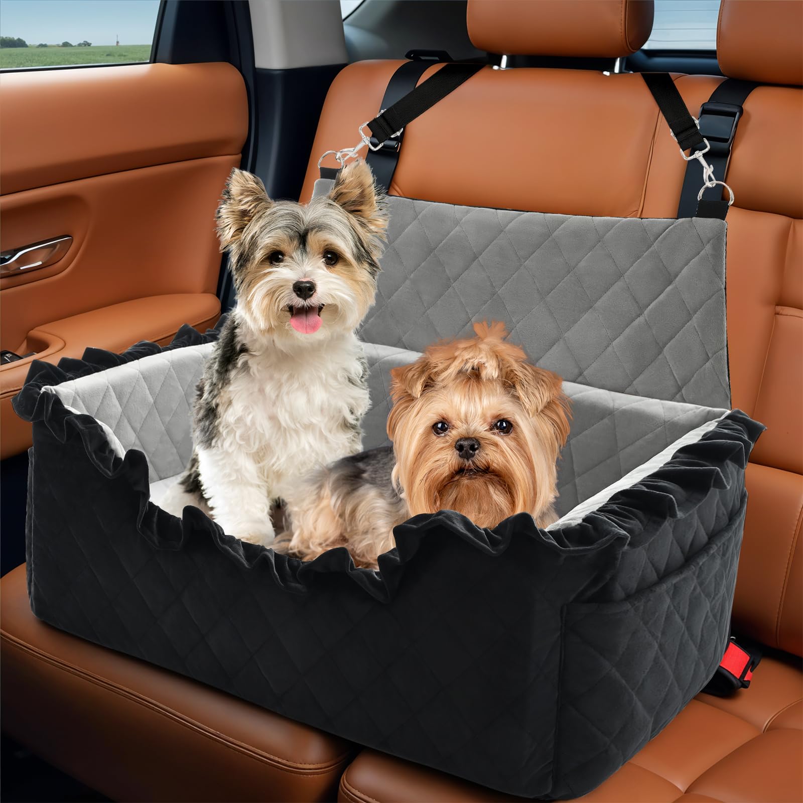 Bilypaws dog car seat with elevated view for scenic, calmer rides