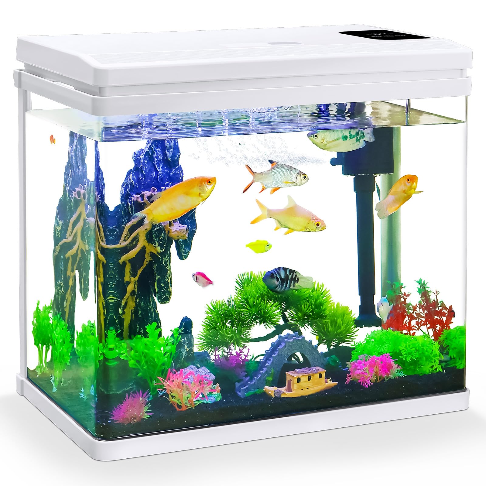 BINANO 10-gallon betta tank light timing shows automatic day-night cycles for easy setup.
