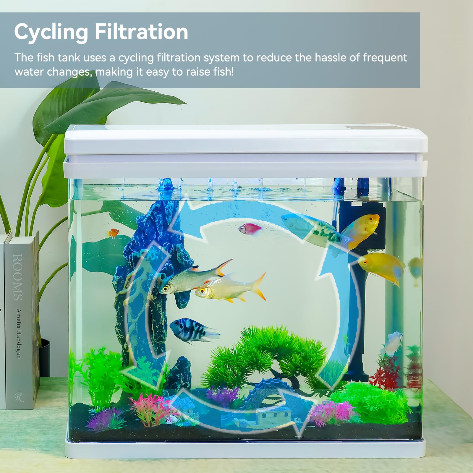 BINANO rain-shower filter-equipped betta tank demonstrates clean water and steady aeration.