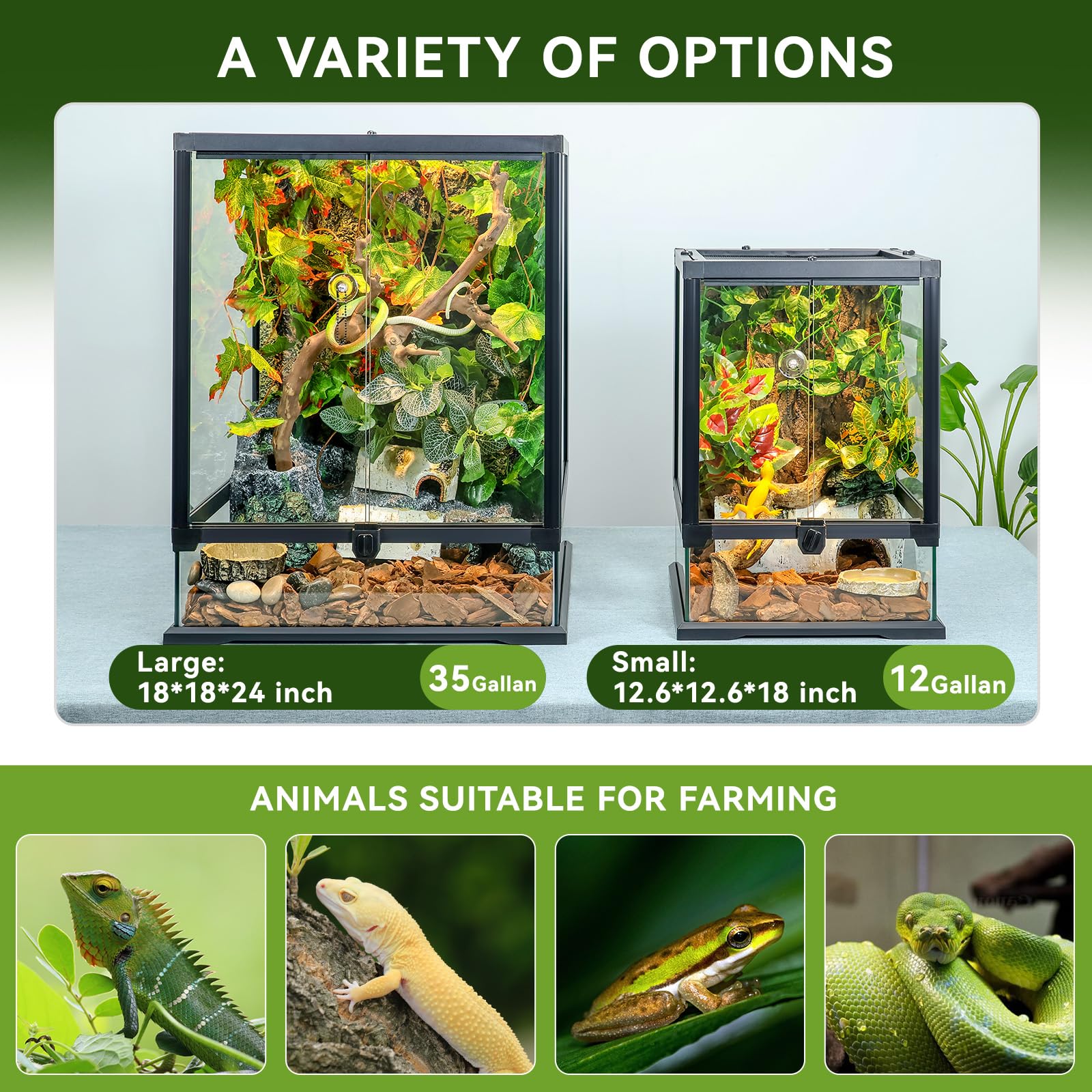 BINANO interior glass tank view shows spacious habitat for multiple reptile setups