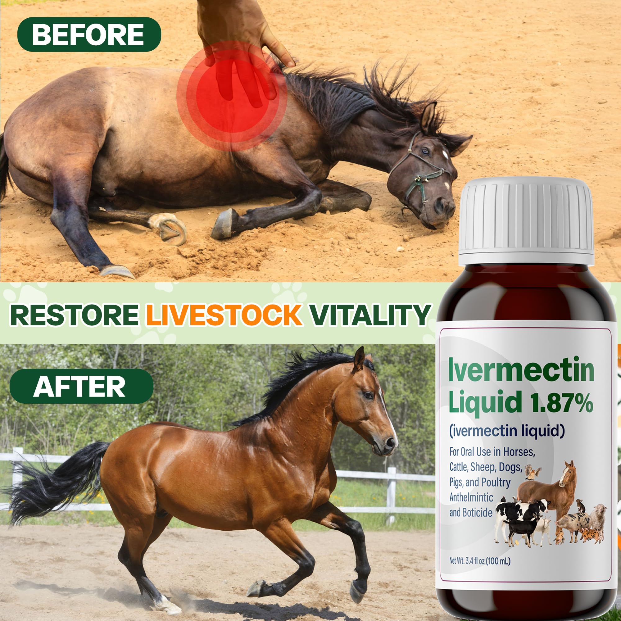 Bingbrofam dewormer poultry dosing highlights gentle use across ages.