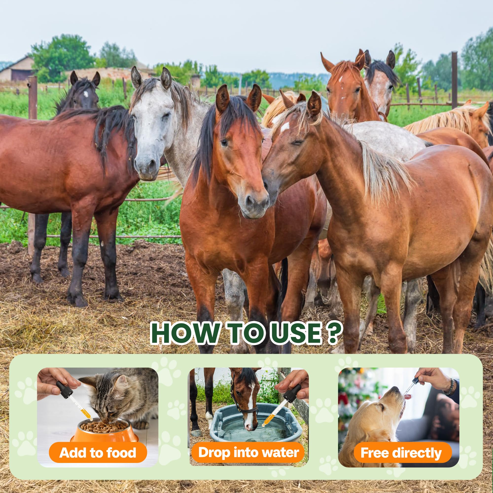 Bingbrofam dewormer quality-testing ensures purity and safety.