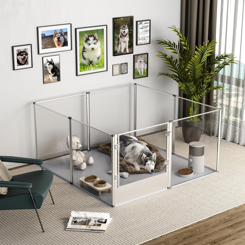 BingoPaw acrylic panel closeup highlights smooth edges and high toughness for pet safety