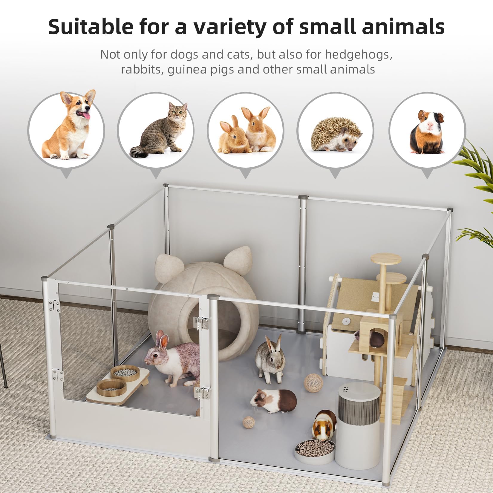 BingoPaw clear-dog-playpen-8-panels-assembly shows customizable space for small pets.