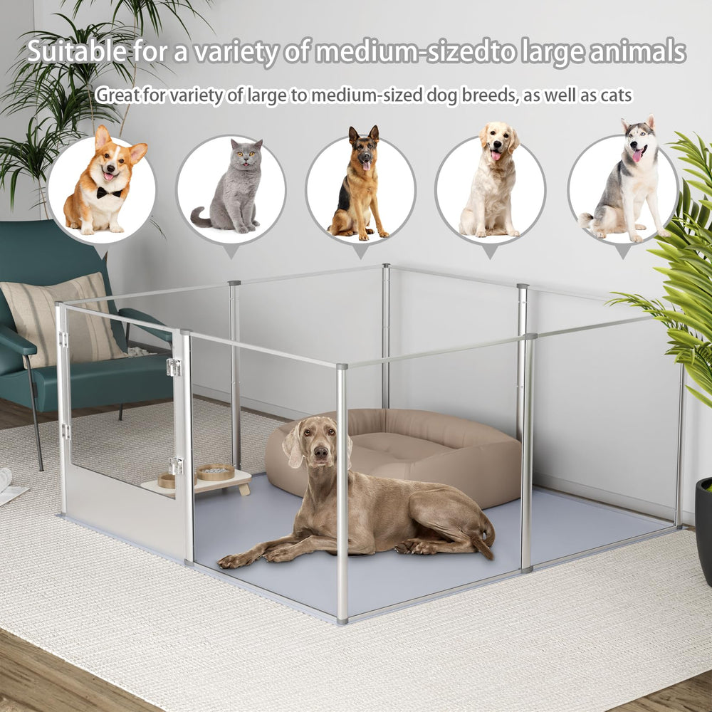 BingoPaw door latch demonstrates easy access while keeping pets secure