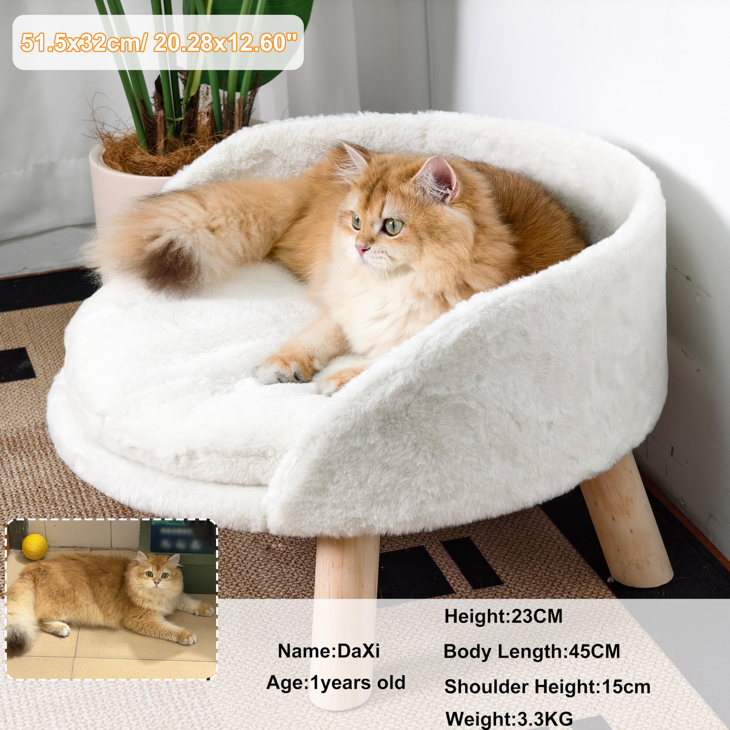 BingoPaw elevated bed backrest supports curling and safe lounging.