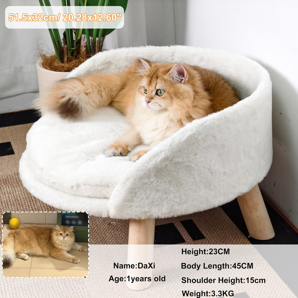 BingoPaw elevated bed backrest supports curling and safe lounging.