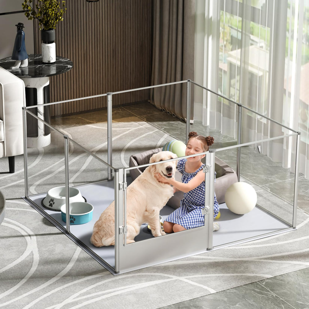 BingoPaw pet friendly interior setup demonstrates stylish integration with home decor