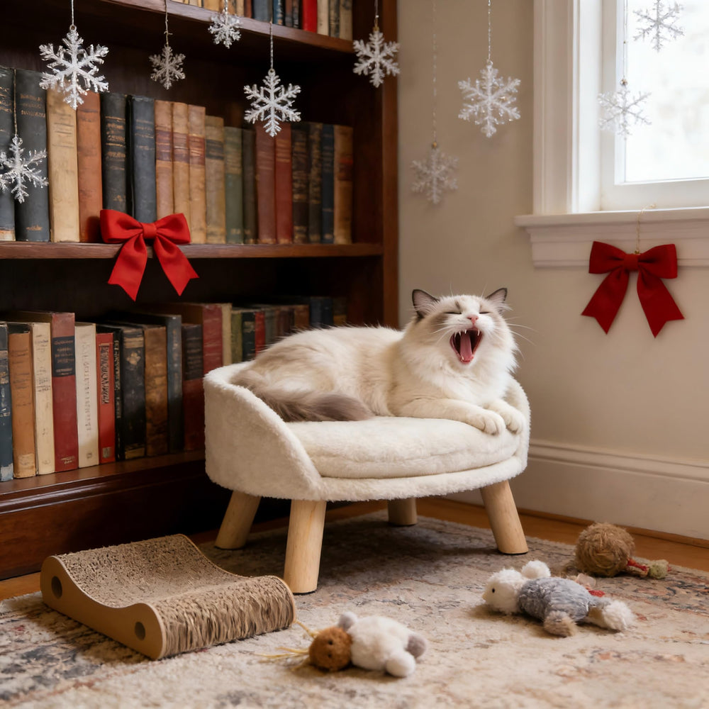 BingoPaw bed provides nap and play for small dogs.