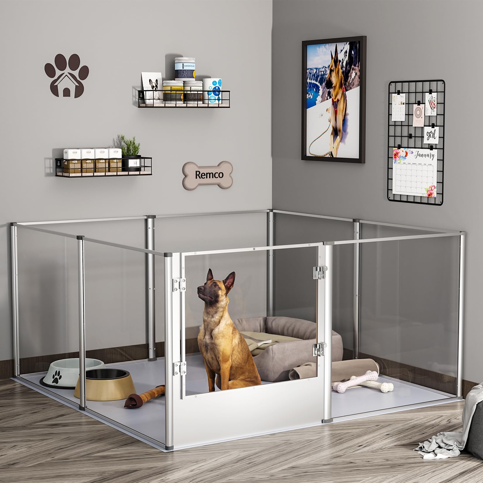 BingoPaw transparent panels 360 view reduces pet anxiety through visibility