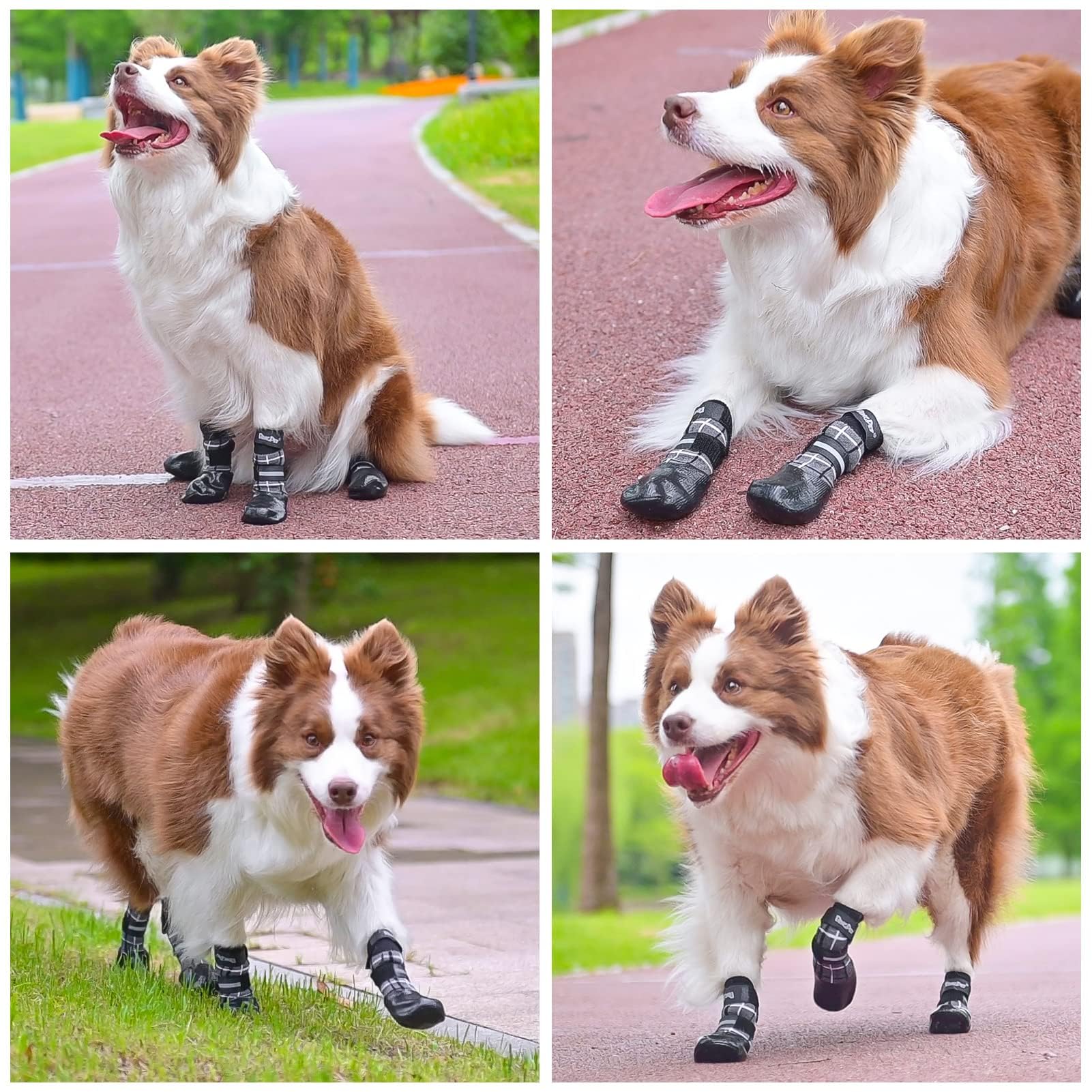 BINGPET anti-slip dog socks adjustable-straps shows secure fit for confident leash walks