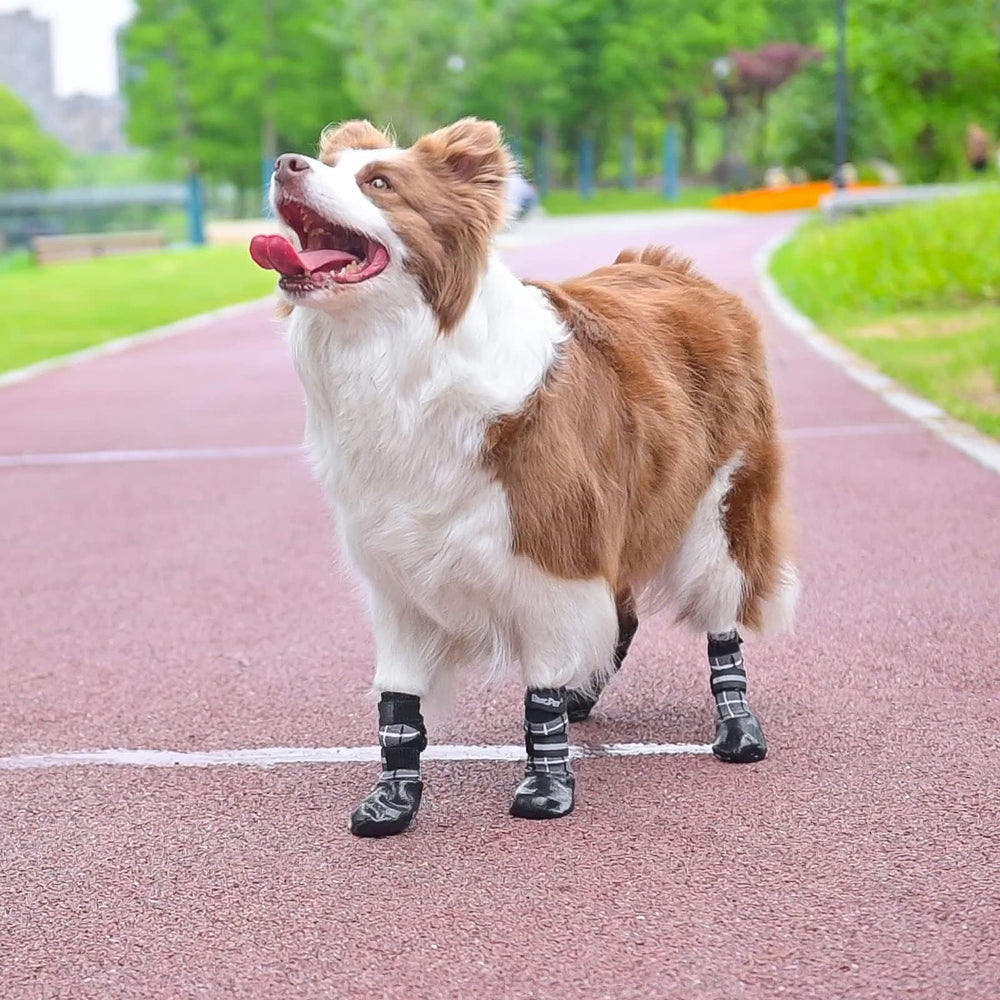 BINGPET anti-slip dog socks reflective-straps image emphasizes visible safety on dusk outings