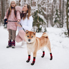 BINGPET thick fleece padding provides cozy warmth during outdoor adventures.