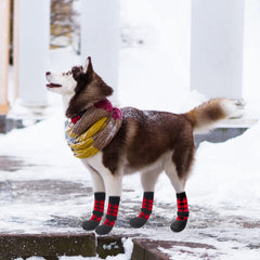 BINGPET anti-slip socks waterproof bottom shows grip on slick surfaces.